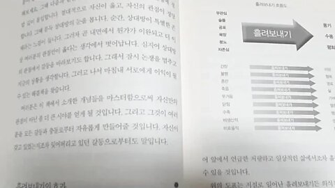 세도나 메소드 헤일 도스킨 흘려보내기 효과 무관심 슬픔 공포 욕망 분노 자존심을 용기 수용 평화로