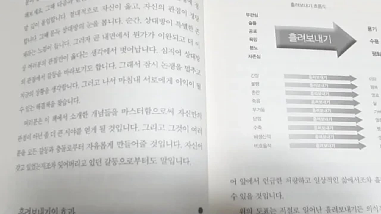 세도나 메소드 헤일 도스킨 흘려보내기 효과 무관심 슬픔 공포 욕망 분노 자존심을 용기 수용 평화로