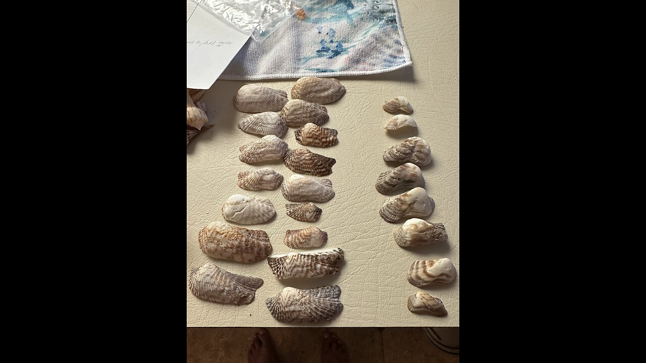 February Beach Finds So Far 4K