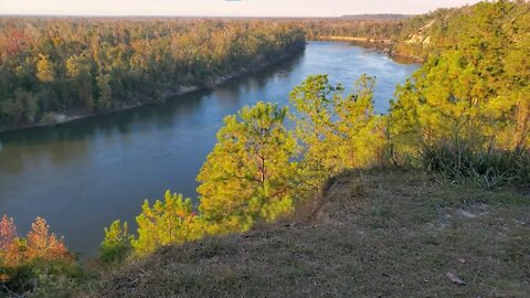 Garden of Eden at Sunset Bristol, Florida Fall 2021