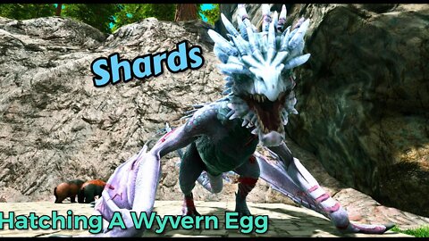 Ark Survival Evolved / The Dragon Egg Heist / How To Train Your Dragon / ark wyvern egg