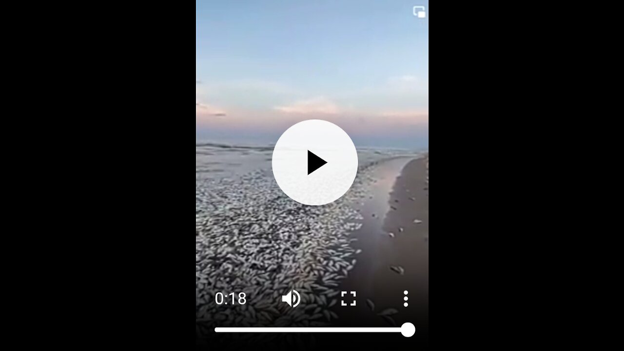 Thousands Of Fish Washed Up Along A Texas Beach!