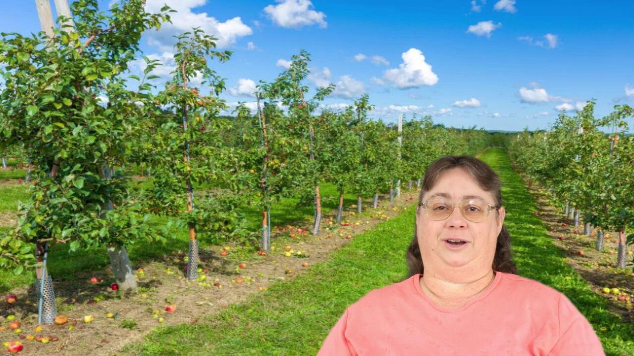 What Fruit Are You - Children's Message 3/6/22