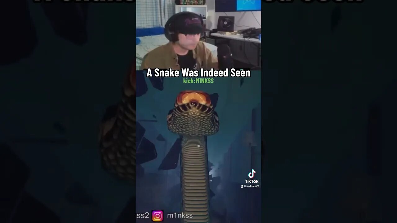 Theres A Snake In My Hotel #trending #clips #snake #snakevideo #horrorshorts #gaming #shorts #wtf