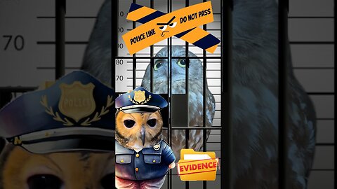 Detective Bibib! 🕵️‍♂️🦉 | #funnyanimals #owl #cuteanimals