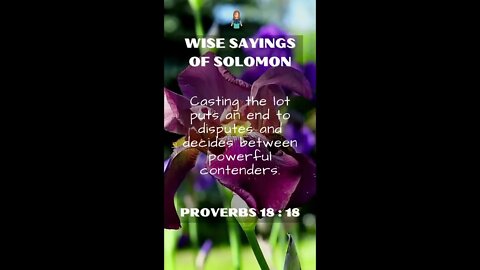 Proverbs 18:18 | NRSV Bible - Wise Sayings of Solomon