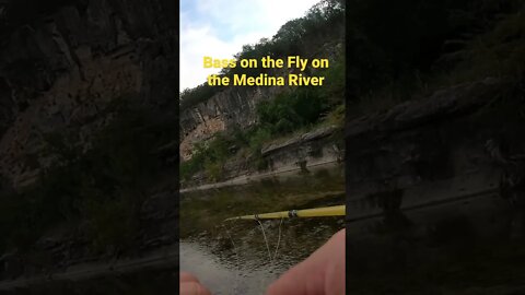 Bass on the Fly using my custom Ben’s of Holland 4wt Glass Fly Rod