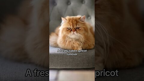 What Do You Call Your Orange Cat?