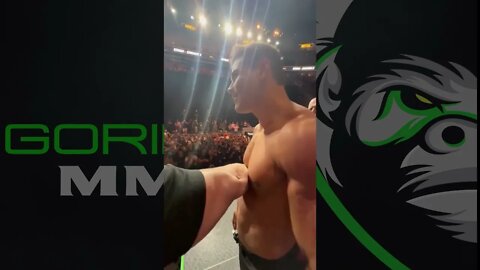 Luke Rockhold vs Paulo Costa: UFC 278 Face-off