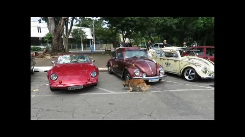 Encontro de carros antigos Praça presidente Kennedy Mooca SP 13/03/2022...