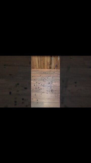 #shorts #tiktok #reels by #tinyandjuniortv at #activatestudio