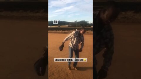 QUANDO O BURRINHO TA NO CIO ( DEIXA O BURRAO URRAR ) ( MEME ) ( VIRAL ) #shorts #meme #viral !!