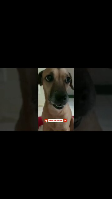 QUANDO A MÃE DA MINHA AMIGA COMEÇA A BRIGAR COM ELA NA MINHA FRENTE