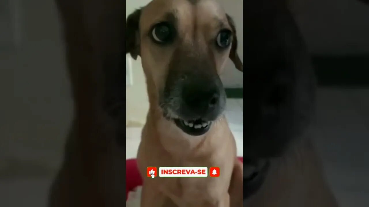 QUANDO A MÃE DA MINHA AMIGA COMEÇA A BRIGAR COM ELA NA MINHA FRENTE