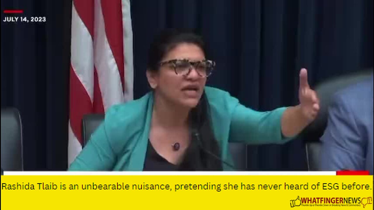 Rashida Tlaib is an unbearable nuisance, pretending she has never heard of ESG before.