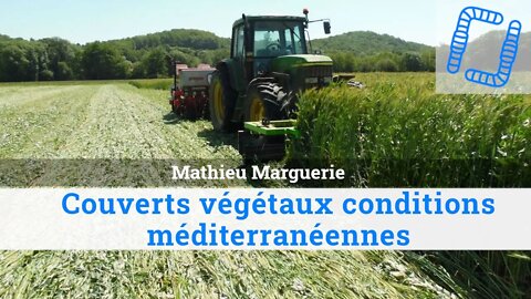 Couverts végétaux conditions méditerranéennes - Mathieu Marguerie