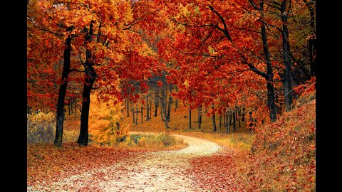 Melody of autumn.Relax with a beautiful melody!Beautiful romantic music.