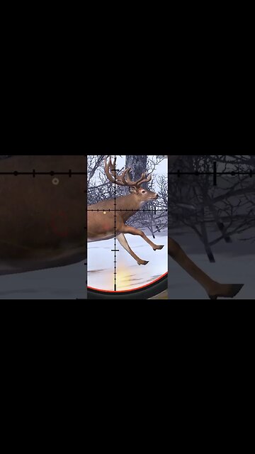 Hunting Coyotes #356 #elk #shorts #dog #animals #hunter #hunting #ytshorts #dog #coyotes #wildlife