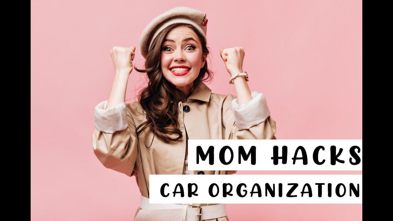 MOM HACKS! Car Organization and Mommy Hacks