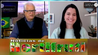 Noticias de Hortifrúti - com Mariana Aranha