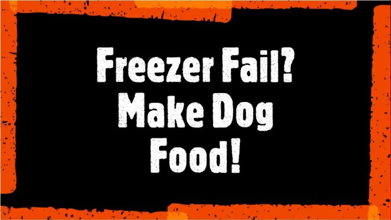 Freezer Failure? Make Dog Food!