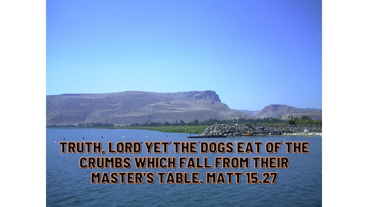 Truth, Lord yet the dogs eat of the crumbs which fall from their master's table. Matt 15.27