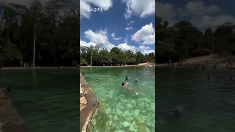 Piscina de Água Natural em Brasília