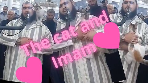 The cat and IMAM