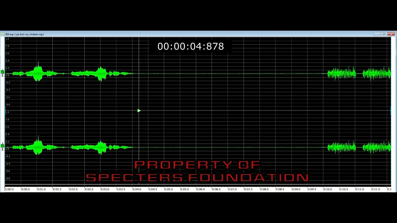 APRd Case EVP#04 Who