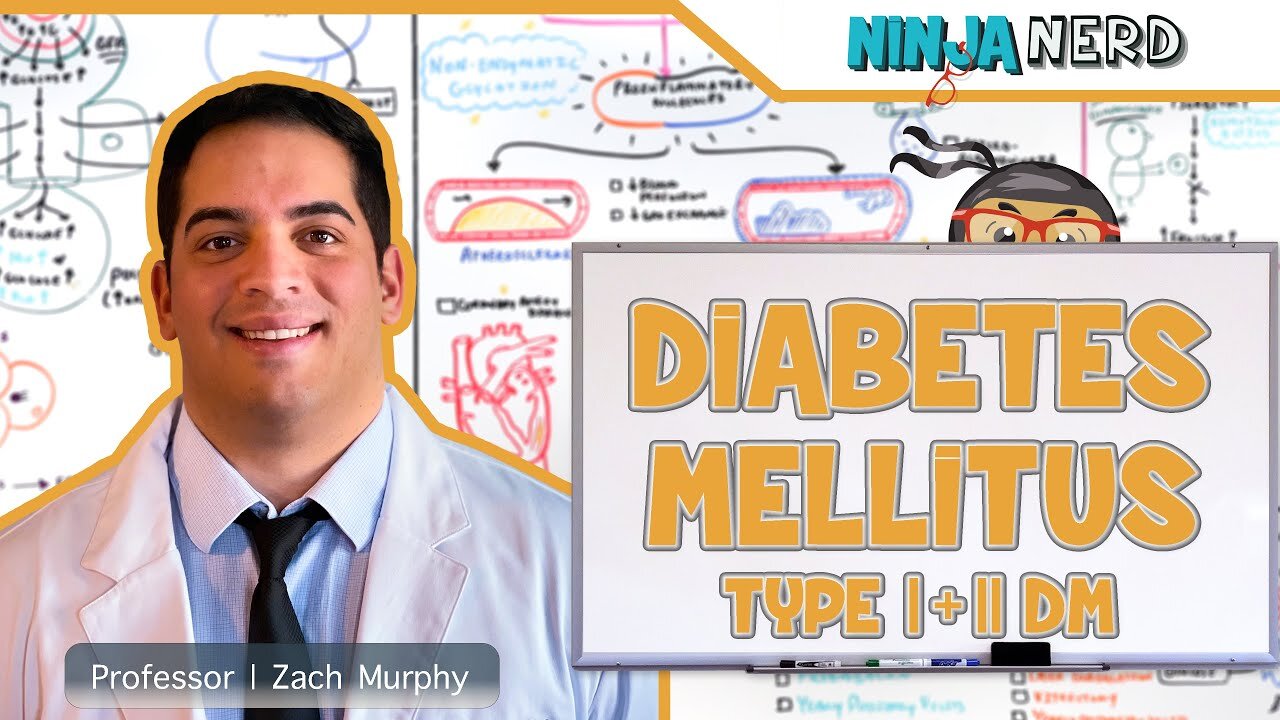 Diabetes Mellitus | Type I and Type II Diabetes Mellitus