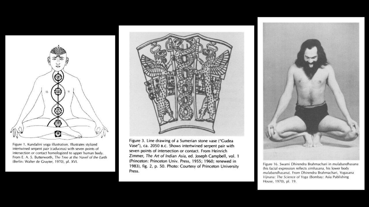 The Spinal Serpent - Thomas McEvilley