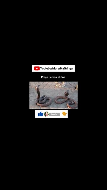 COBRAS NAJAS NA PRAÇA NO MARROCOS