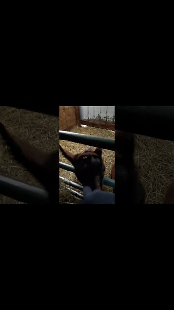 Jenni and Katie Nov. 23, 2020