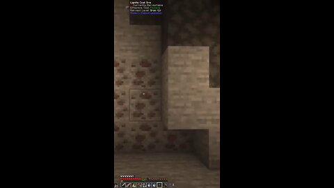 Minecraft Crows say what?!