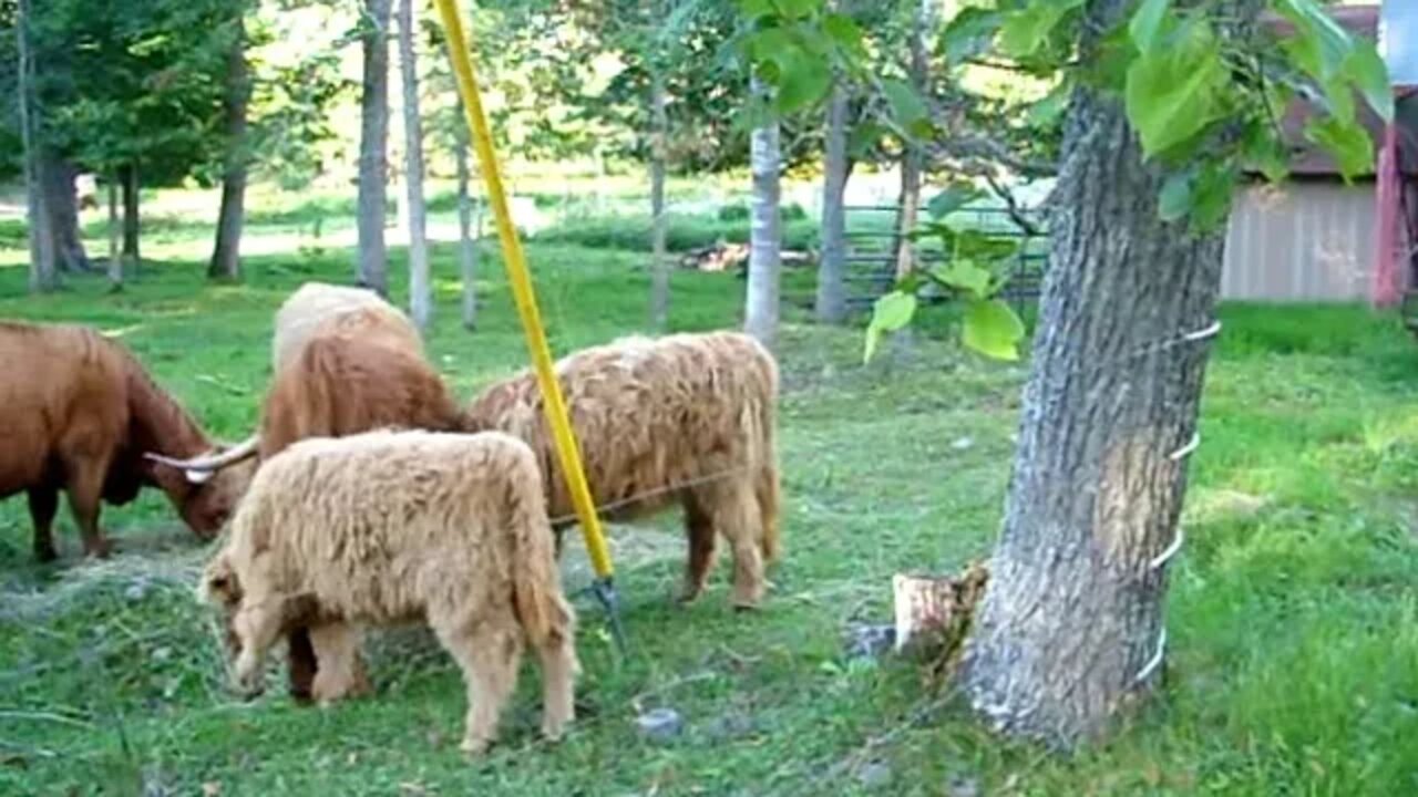 The Taylor Fold 8/15/2020