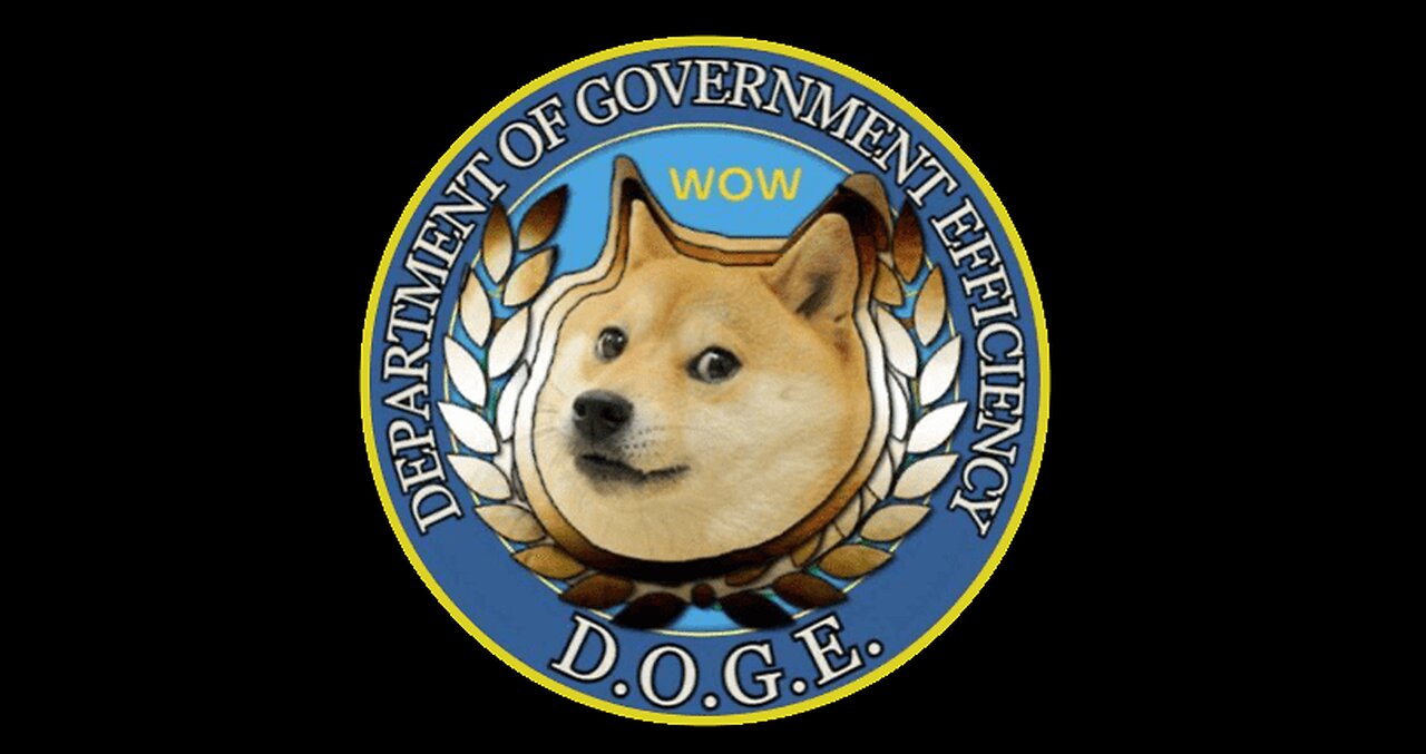 Elon Musk et Vivek Ramaswamy Département de l'efficacité gouvernementale DOGE