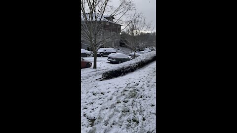 Second winter video
