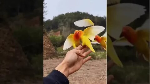Wooow!!!
