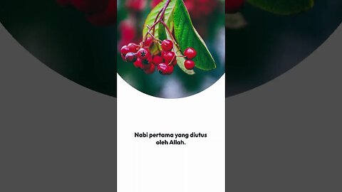 QUOTES ISLAMI:NABI ADAM A.S