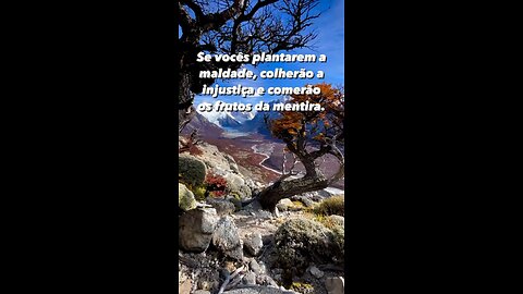 Deus é justo você vai colher o que plantar !! - God is fair you will reap what you sow!!