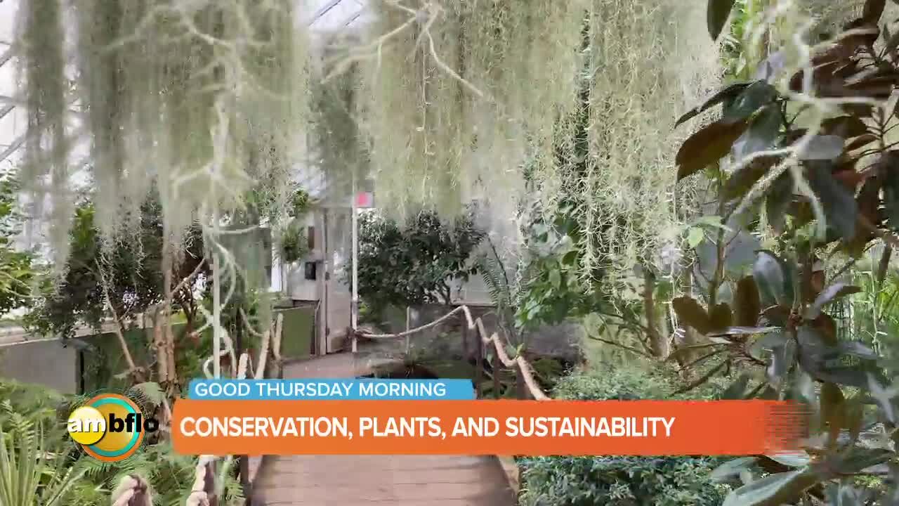 Earth Day preps at the Buffalo and Erie County Botanical Gardens - Part 2