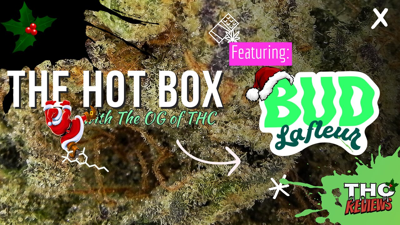 TWO TOP SHELF STRAINS (LAVA CAKE & BANANA BABY) | THE HOT BOX - BUD LAFLEUR 🔥📦