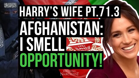Harry's Wife Part 71.3 : Afghanistan - I Smell Opportunity