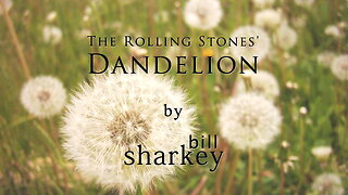 Dandelion - Rolling Stones, The (cover-live by Bill Sharkey)