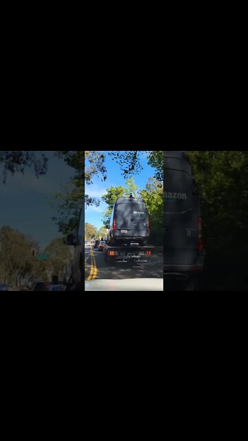 SF Sized Porch Pirate #shorts #amazon #porchpirate