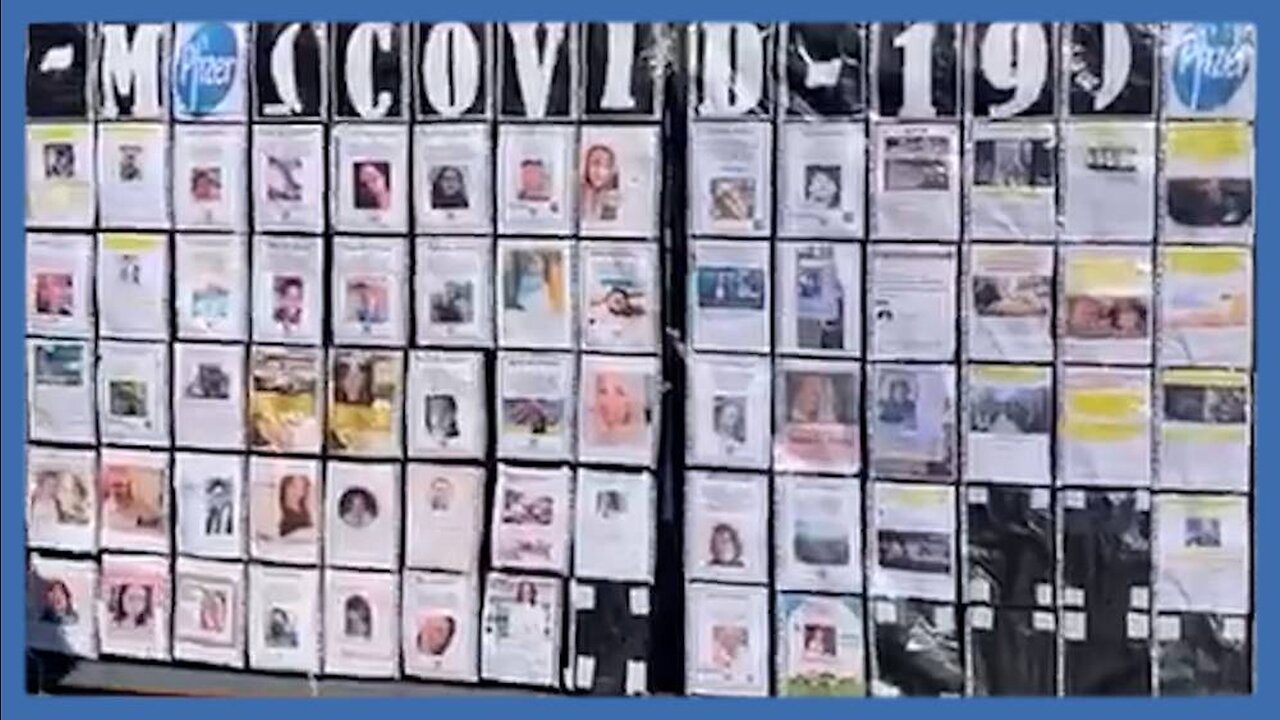 INFOWARS Reese Report: David Martin Exposes Timeline of Biggest Democide in Recorded History - 5/26/23