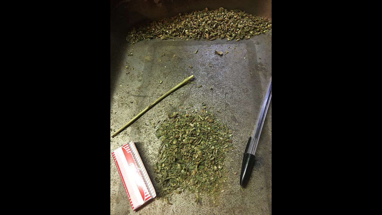 Derek Hunter Show #Trump2024 indictment