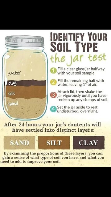 Cloves, a tiny spice, are big on benefits! 🌟