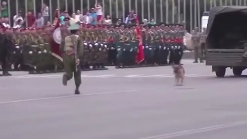 Bro Wont Leave His Human Behind