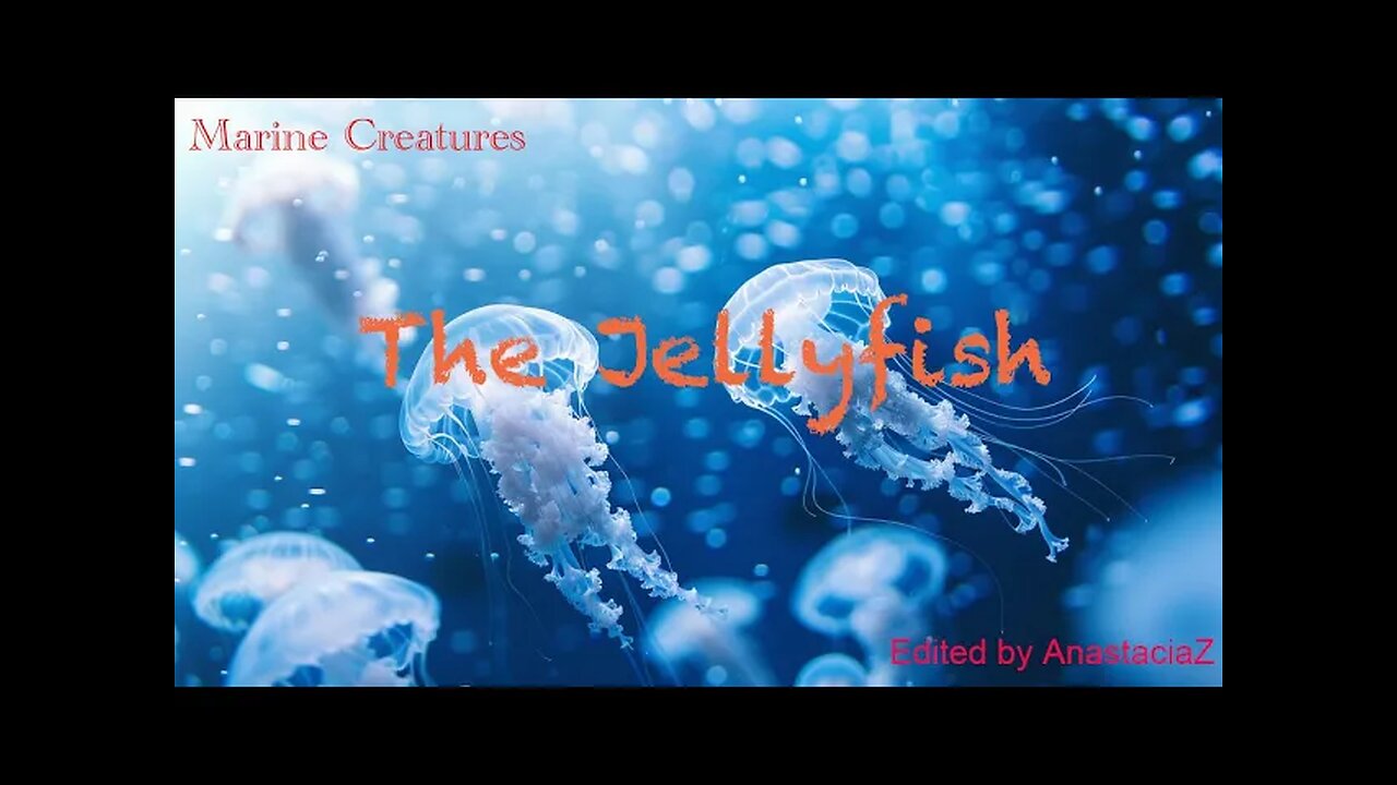 Bedtime stories for Children, about the Jellyfish "The Jellyfish" (story 16)